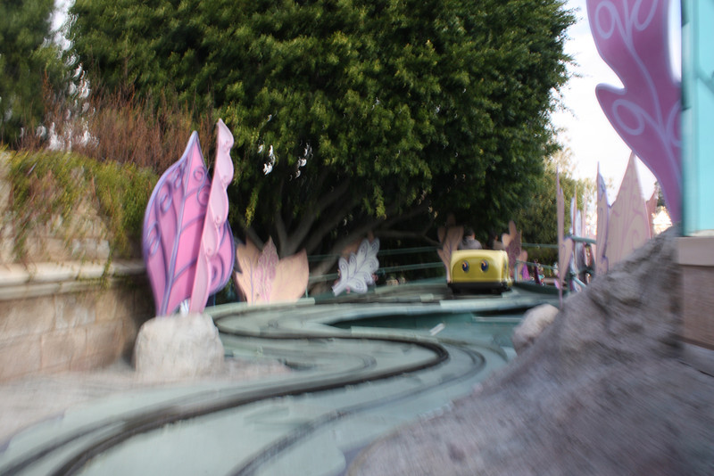 IMG_1716-L.jpg