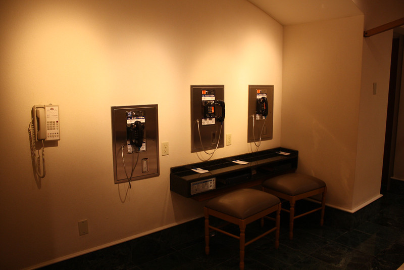 IMG9441-L.jpg