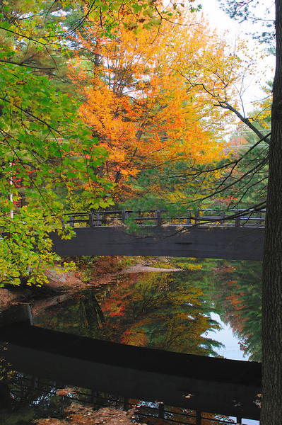 395507794_CKmVE-L.jpg