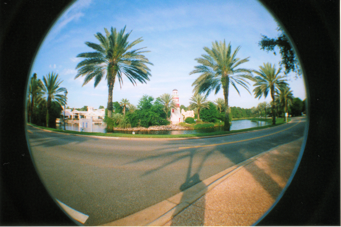 p742179337-5.jpg