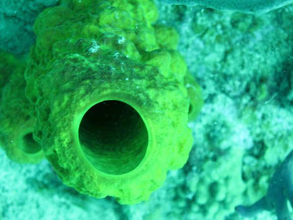 p591491266-3.jpg