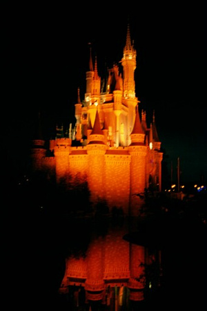 p966499572-3.jpg