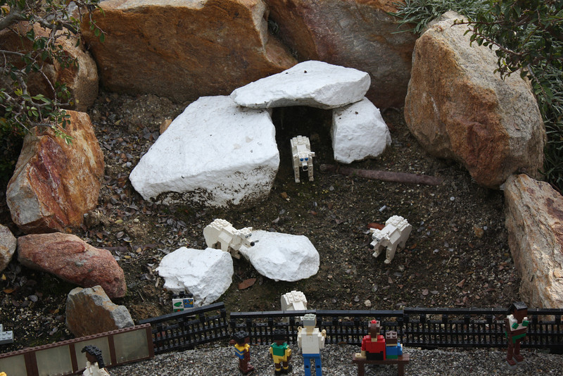 IMG_1478-L.jpg