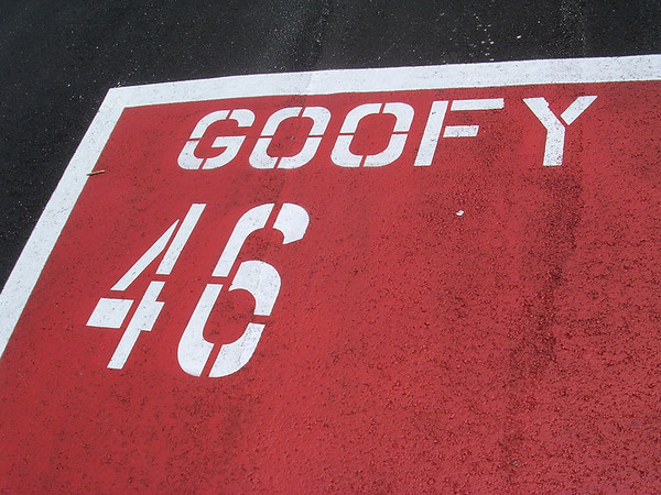 484380791_X8ZV5-M.jpg