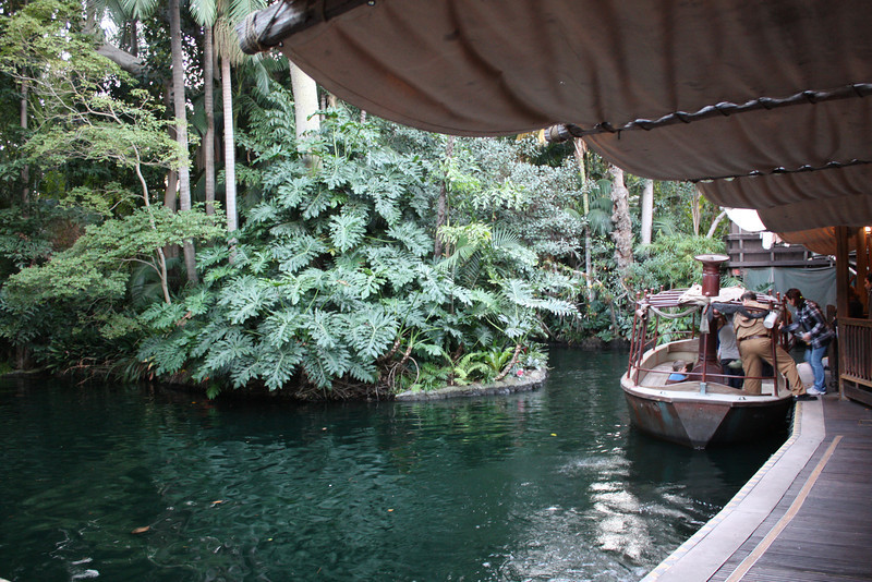 IMG9477-L.jpg