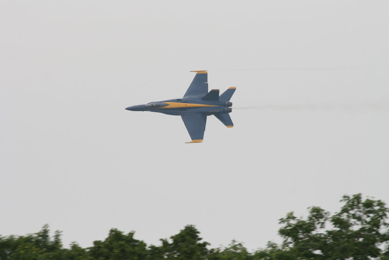 IMG_9473.jpg