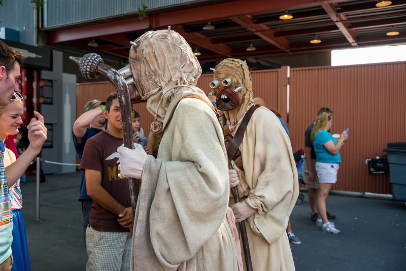 DSC_6585-L.jpg