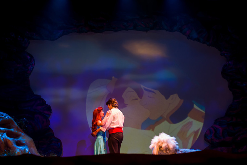 DSC_1102-L.jpg