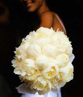 white-peony-