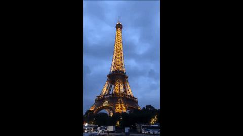 giphy.gif