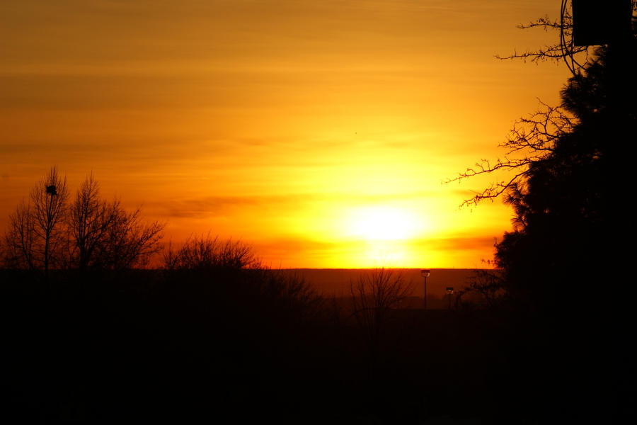 morning_sun_by_bfoflcommish.jpg