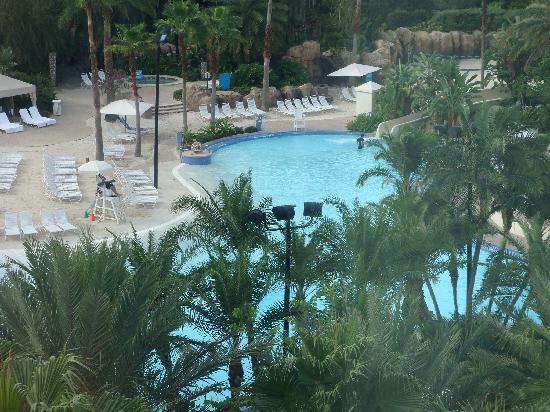 pool.jpg