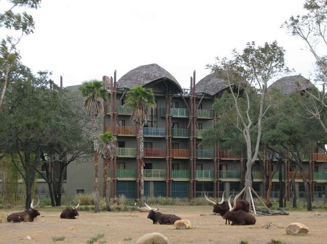 animalkingdomlodge104.jpg