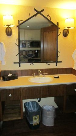 villas-at-wilderness-lodge-studio-5t.jpg