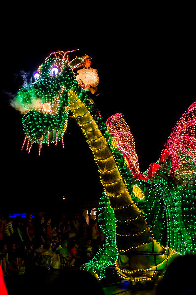 DSC1655-L.jpg