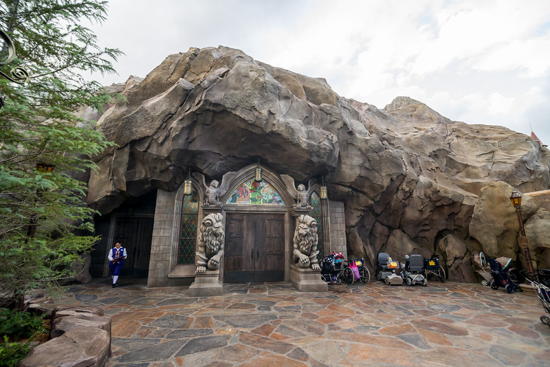 DSC_7331-L.jpg