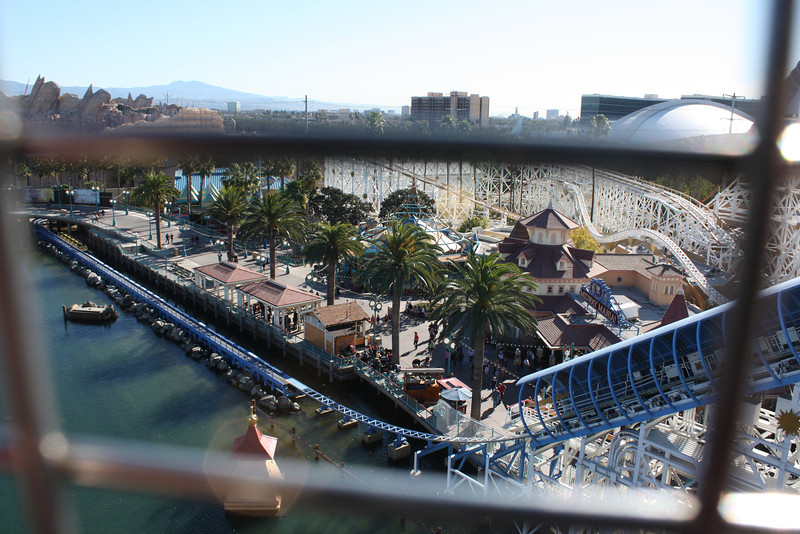 IMG9854-L.jpg