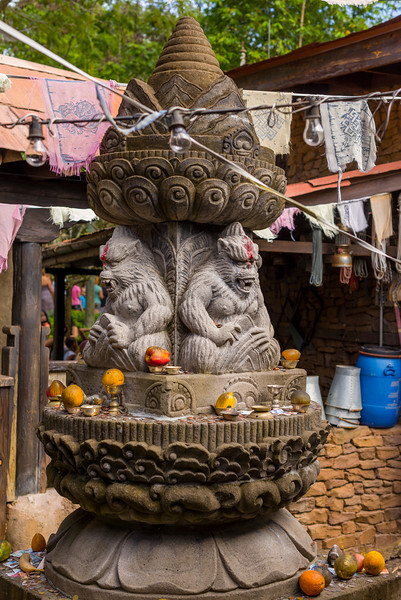 DSC_1634-L.jpg