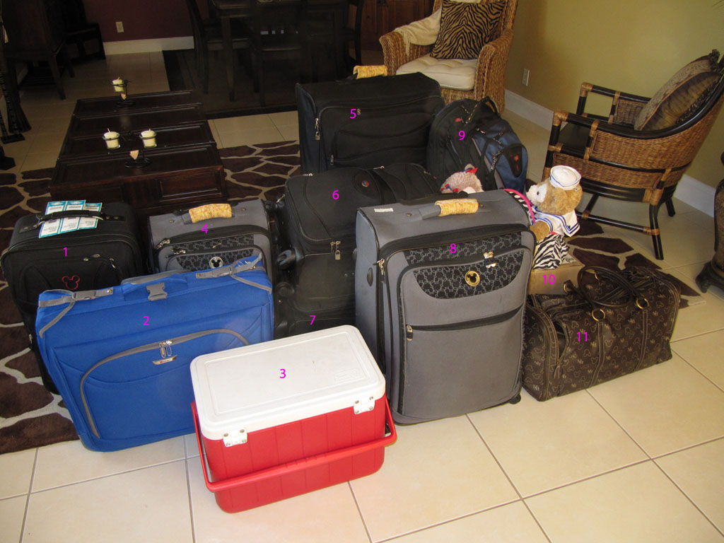luggagemed.jpg