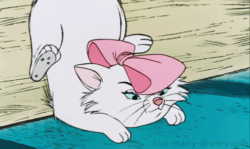 tumblr_n5gjsnSuWL1tqqihyo1_500.gif