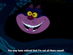 tumblr_n4dvqevywg1txtn33o1_250.gif