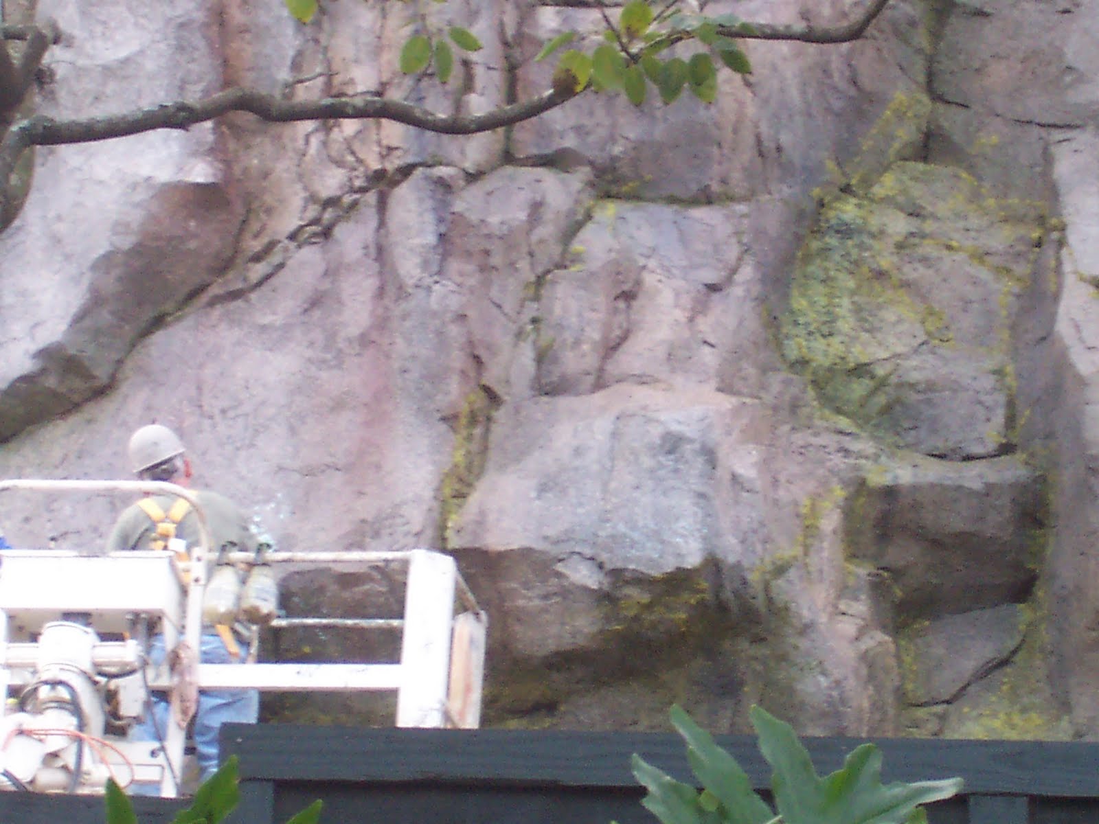 100_6707.JPG