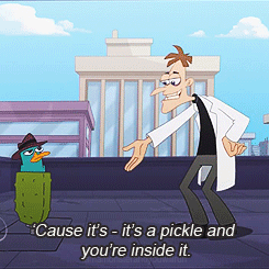 tumblr_lyj1jrY6NR1qb6qtgo6_r1_250.gif