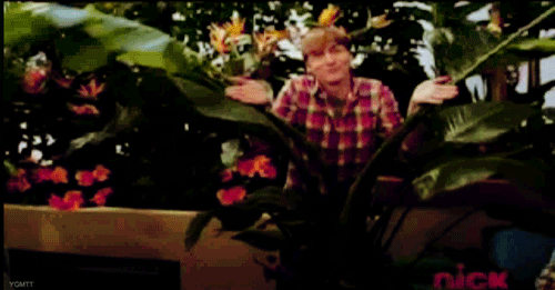 tumblr_lt4wp2Gz7Z1qmj2w1o1_500.gif