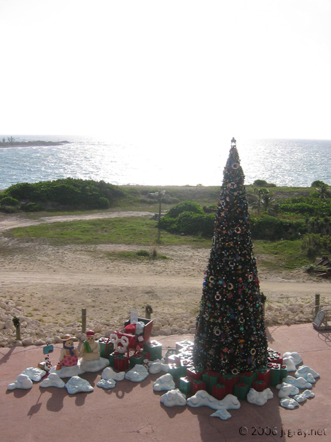 tree_on_cc.jpg