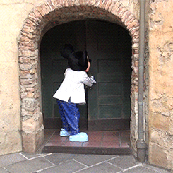 giphy.gif