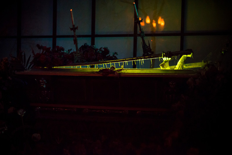 DSC_6658-L.jpg