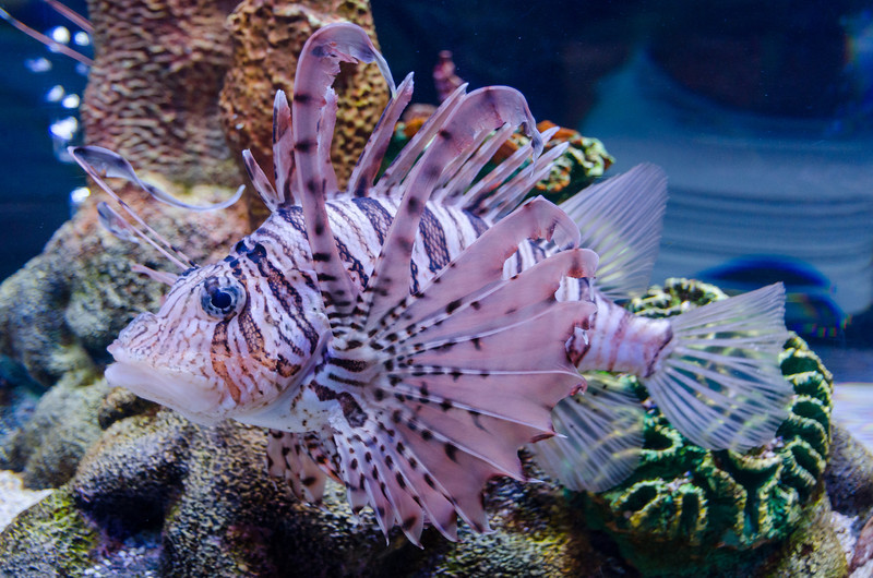 DSC1233-L.jpg