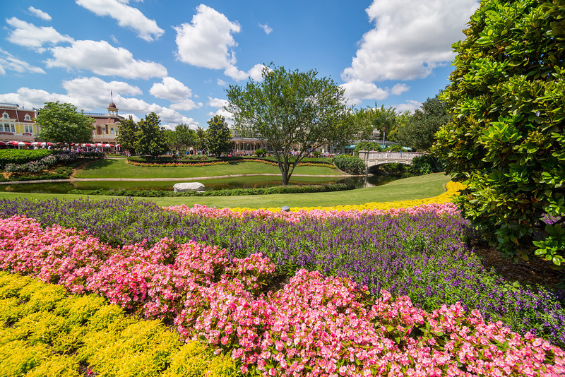 DSC_3290-L.jpg