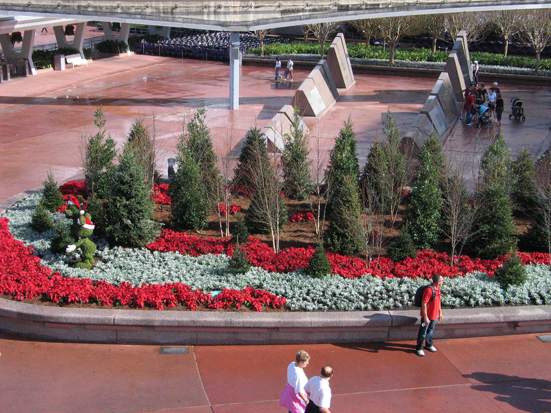 IMG6199-L.jpg