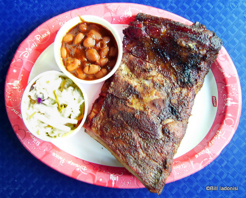RIBS.jpg