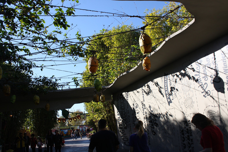 IMG0234-L.jpg