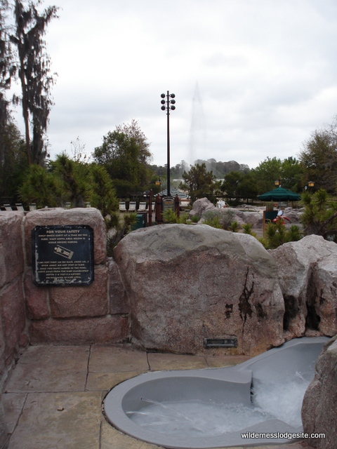 P%20(18)_0.JPG
