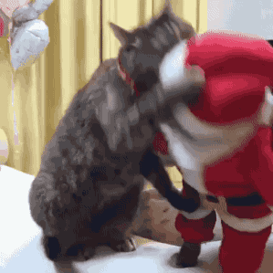 tumblr_p0va3i3k0f1vzwh95o1_400.gif