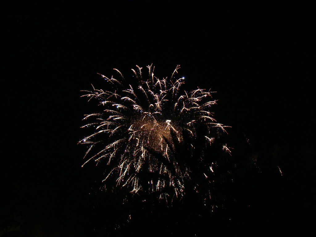 2515980627_5ae212f32e_b.jpg
