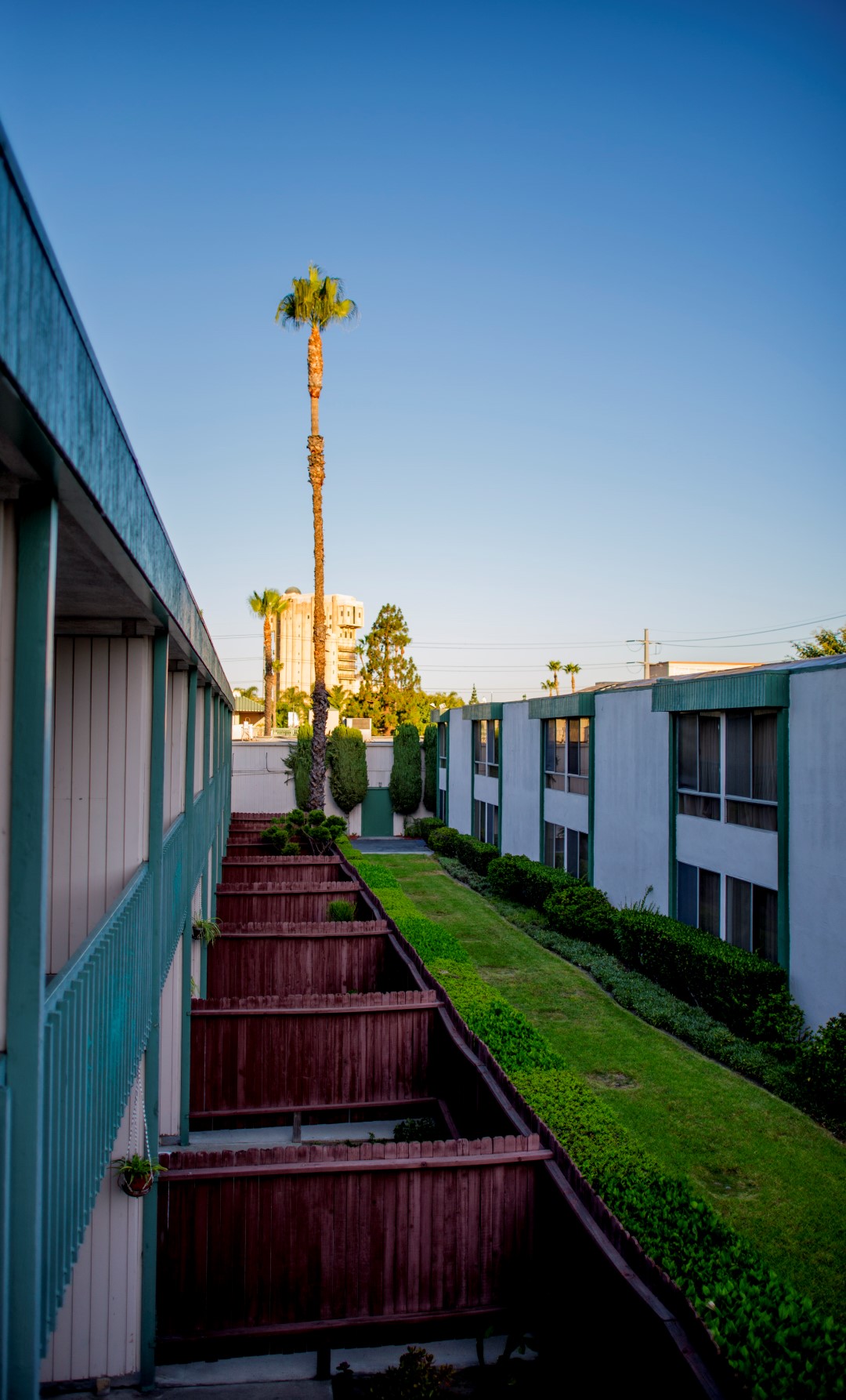 DSC_1603%20(Large).jpg