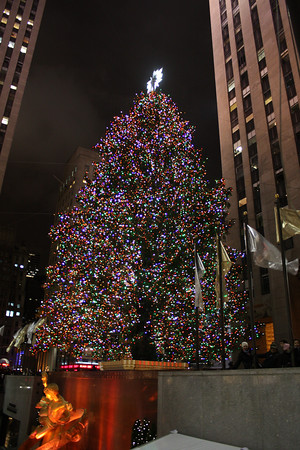 1122795288_e3mLi-M.jpg