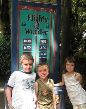 sk_flights.jpg