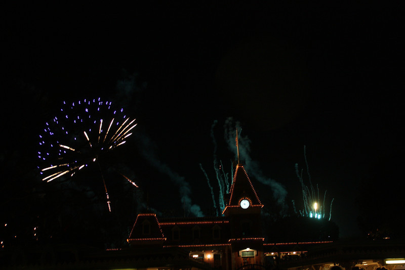 IMG0658-L.jpg