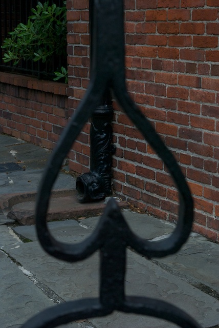 savannah-29.jpg