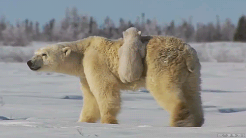 57022dc28449d96f5d753d8fe78d29ee.gif