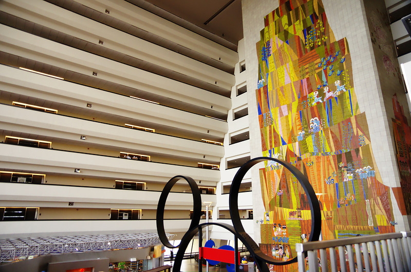DSC6112-L.jpg