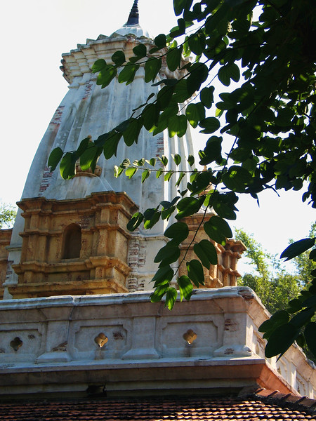1244842288_mtuut-L.jpg