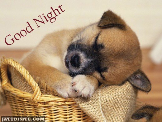 Good-Night-Everyone.jpg