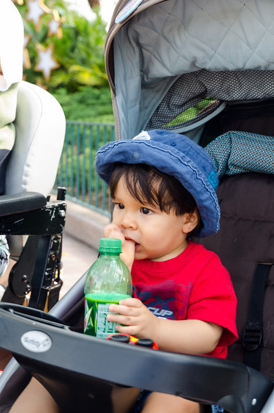 DSC1964-L.jpg