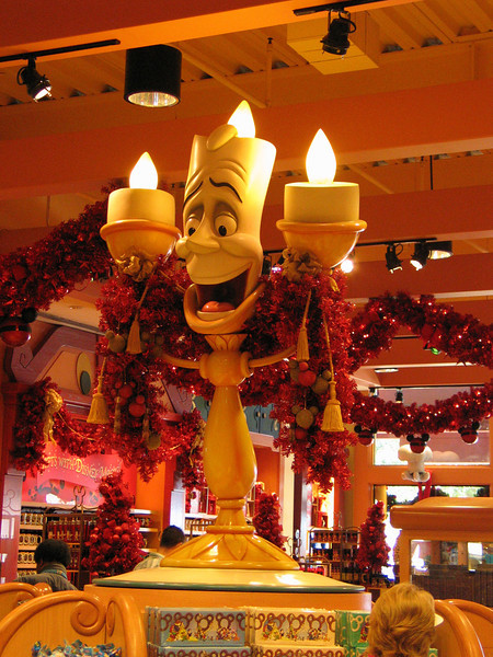 IMG8017-L.jpg